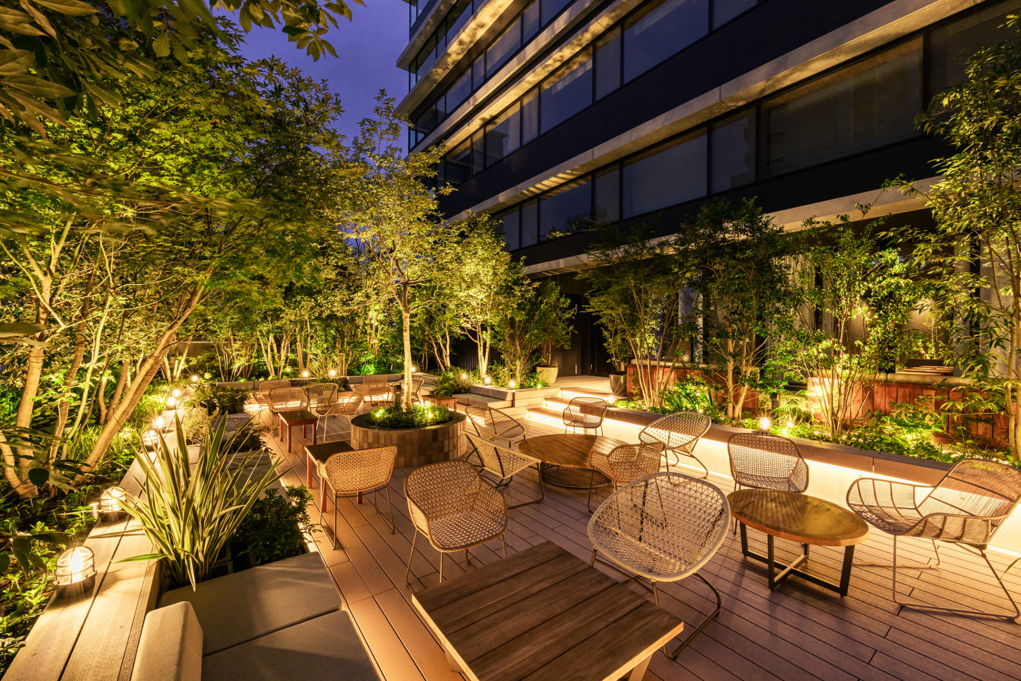 CANVAS GALLERY THUMNAIL