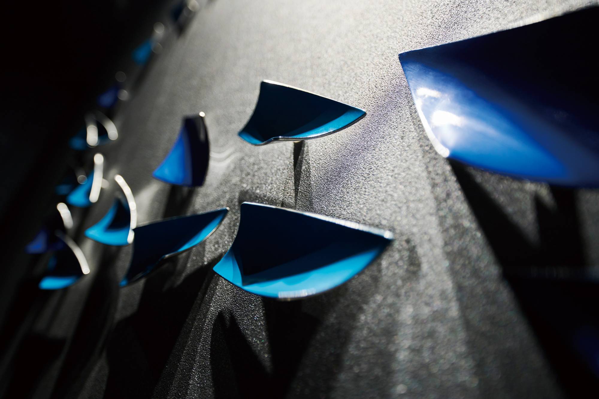 Art inspired by fish swimming in the sea