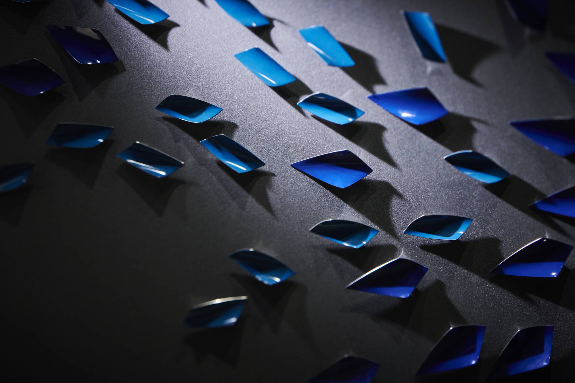 Art inspired by fish swimming in the sea