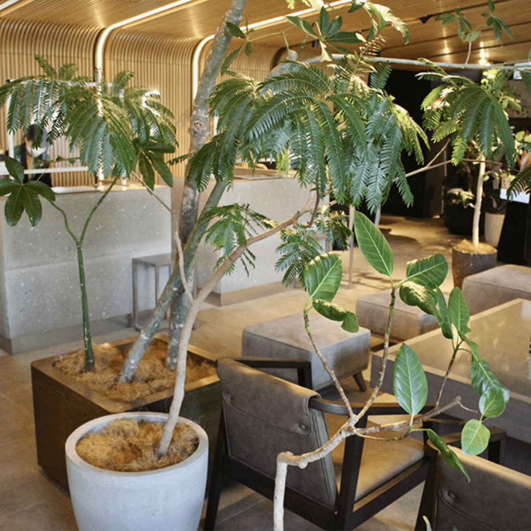 L from 27,200 yen, M from 15,440 yen