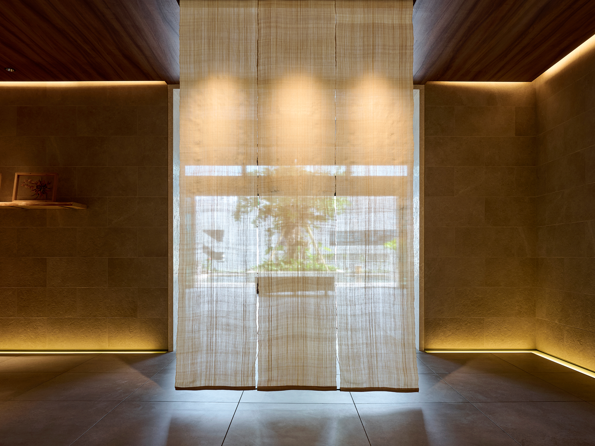 シンボルツリーのガジュマル