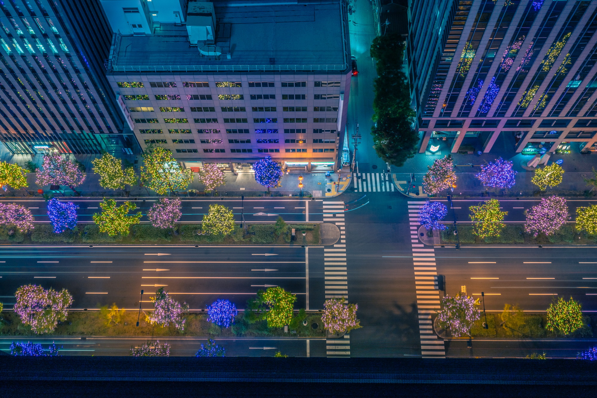 御堂筋イルミネーションを真上から