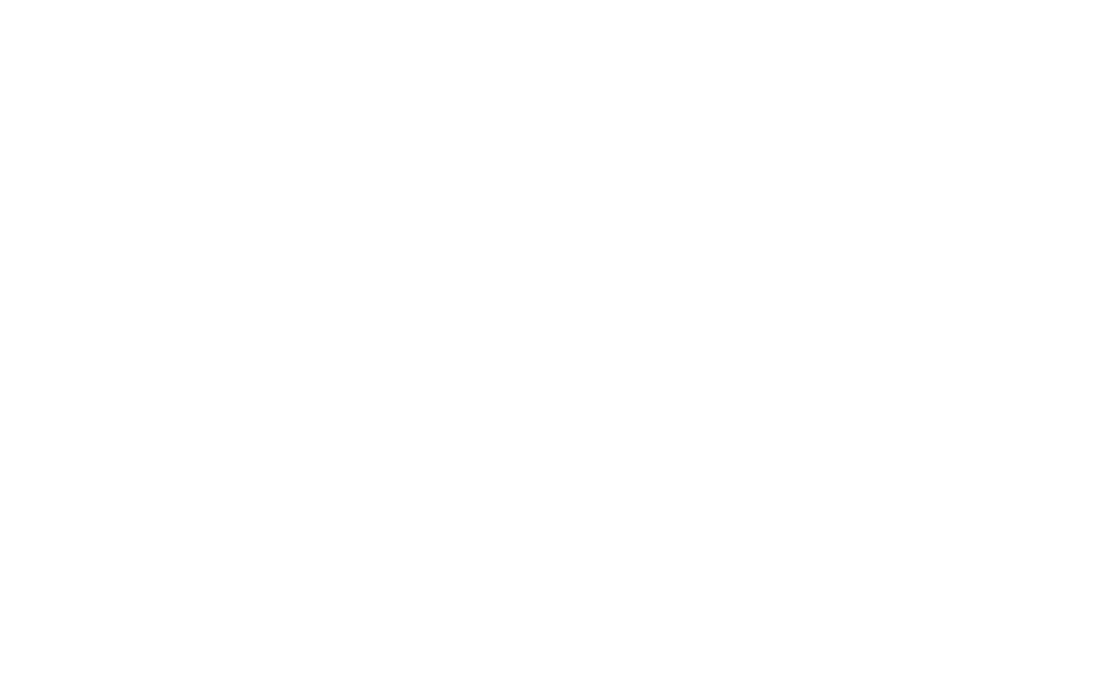 THE BAR