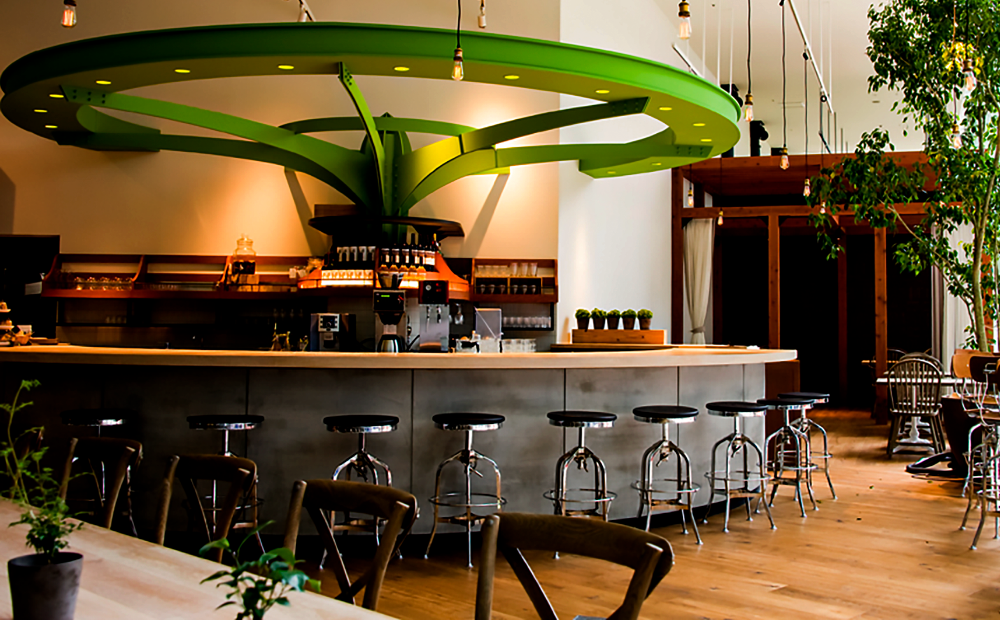 Chayama Macrobiotics