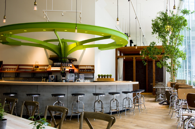 Cafe "CHAYA Macrobiotics"