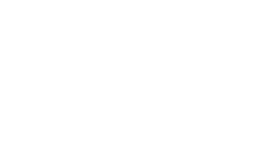 THE BAR