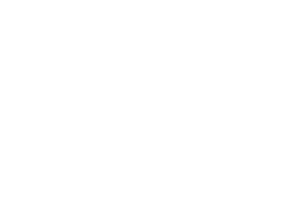 Precious ONO HAKATA