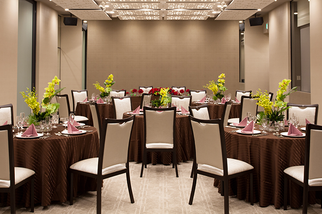 Party Room "SALA LUCE"