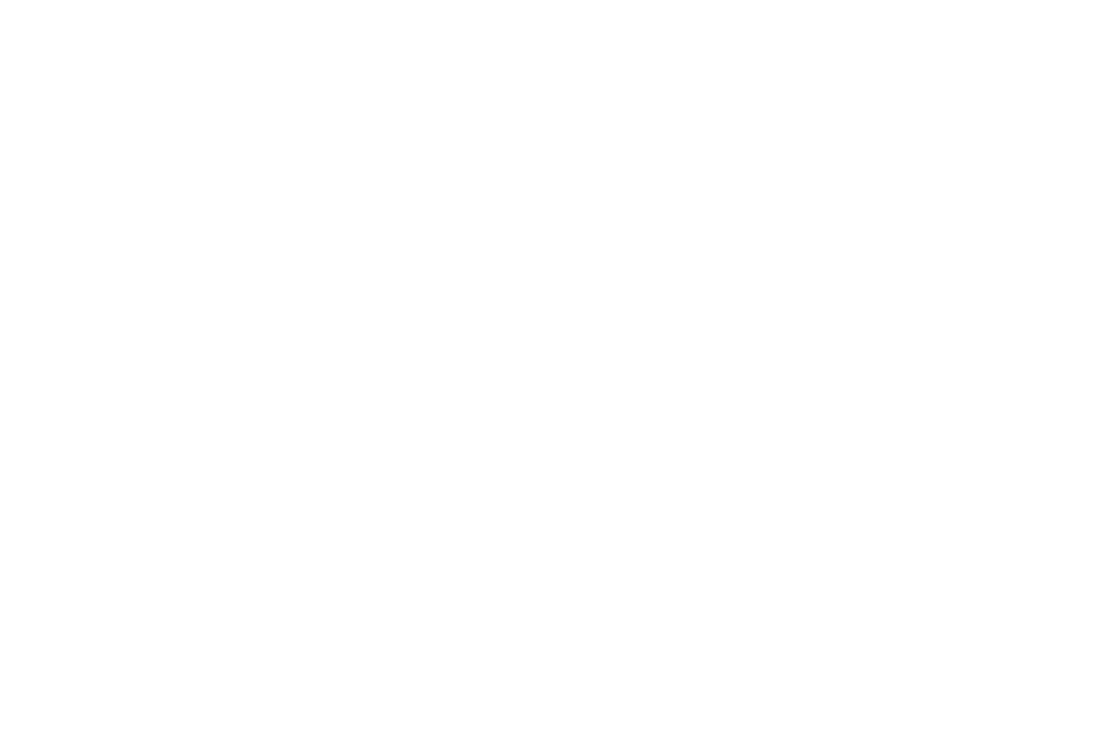 THE COMPASS